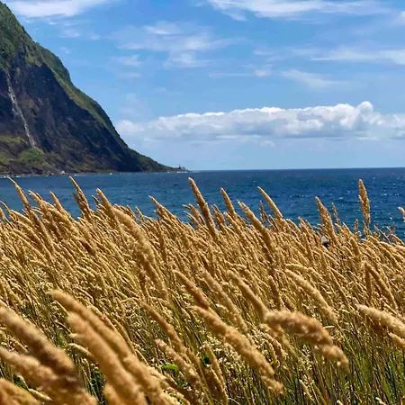 Casa Do Forno Faial da Terra