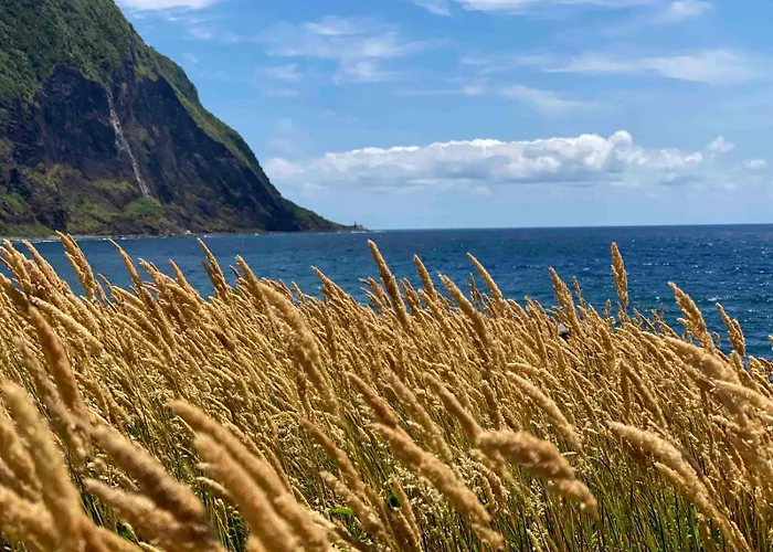 Casa Do Forno Faial da Terra