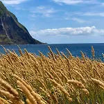 Casa Do Forno Faial da Terra