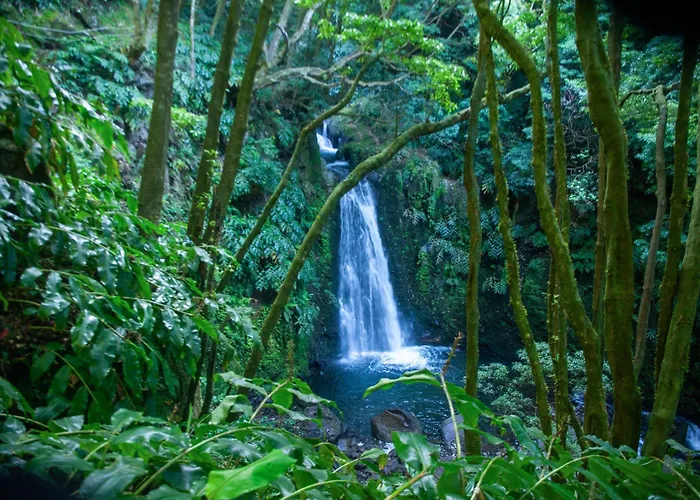 Сasa de vacaciones Casa Do Forno Faial da Terra